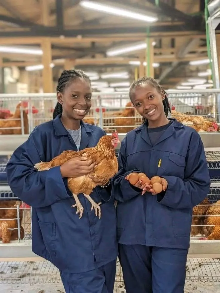 Young women holding chickens in poultry farm