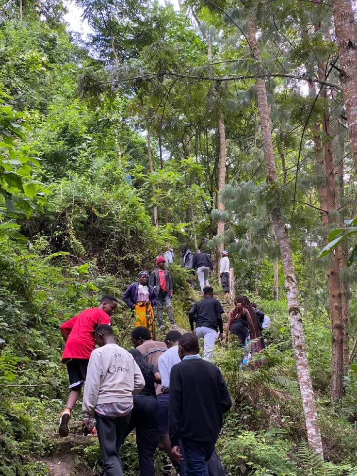 Group walking through dense forest path