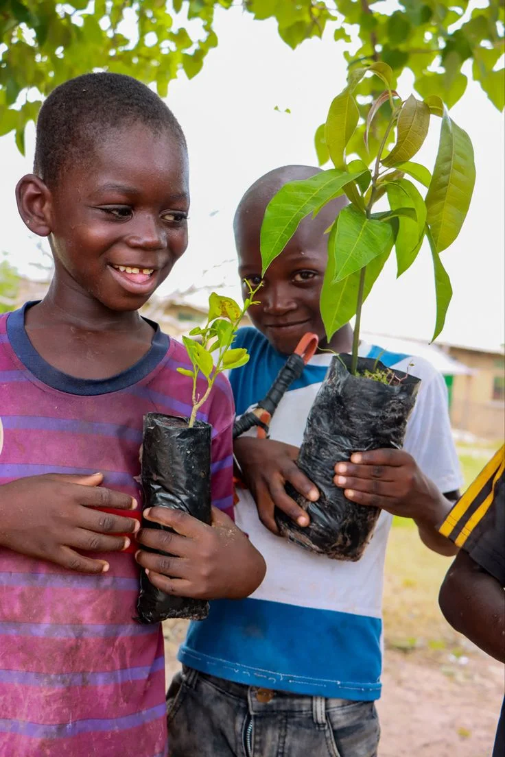 Young boy with tree seedling