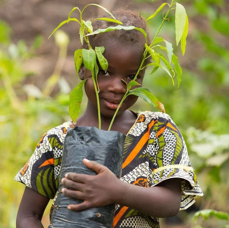Young child with seedling
