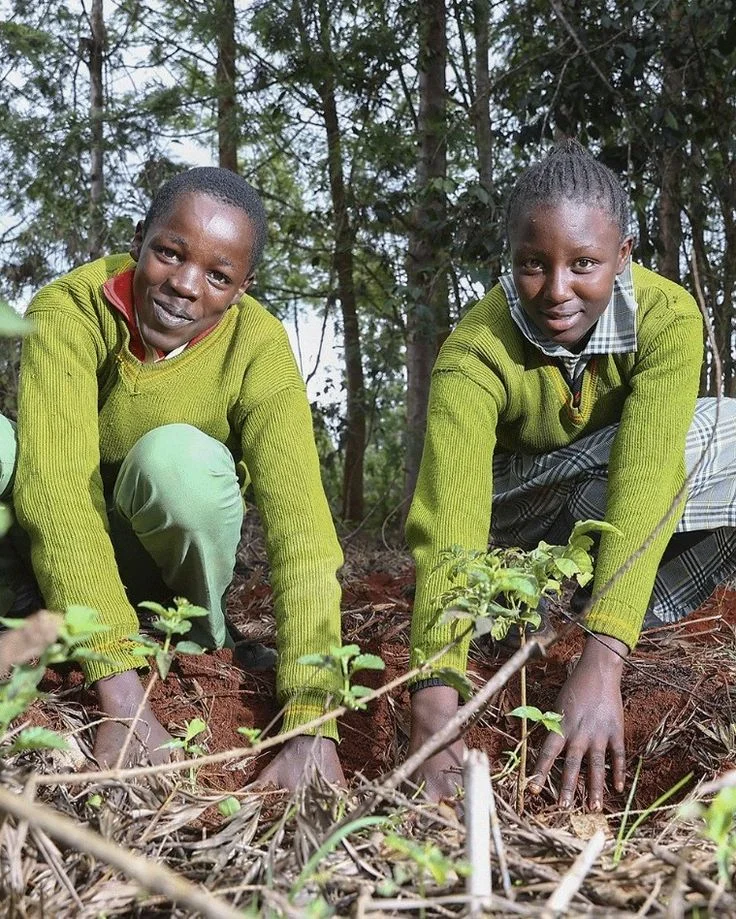 Young woman planting in forest