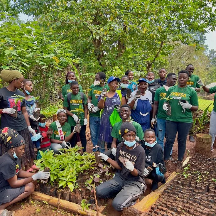 Youth group planting trees near Mount Cameroon